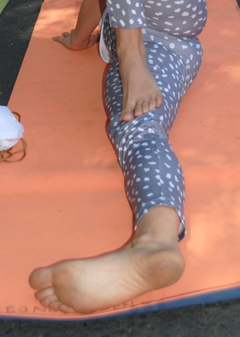 Paz Bascuñan