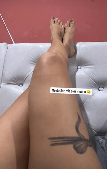 Hamy Tejeda