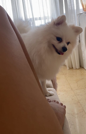 Vitória Moraes