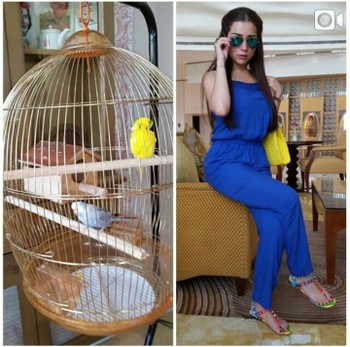 Mayy Izzuddin