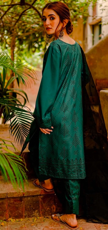 Meerub Ali
