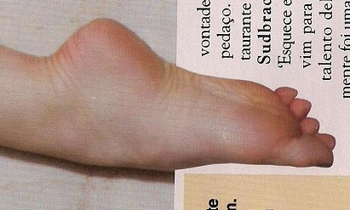 Cláudia Raia