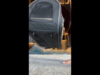  alt="Kaja Sobon"
