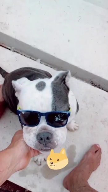 Rômulo Estrela