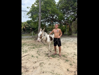  alt="Joao Gomes"