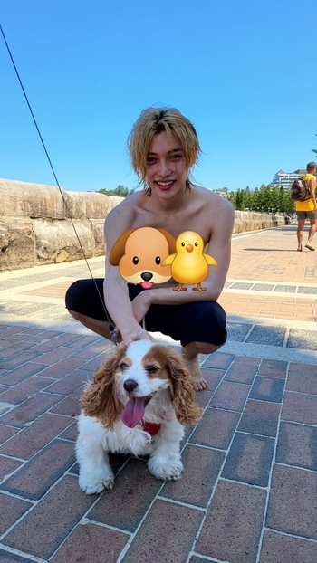Felix