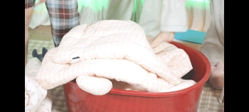 Felix