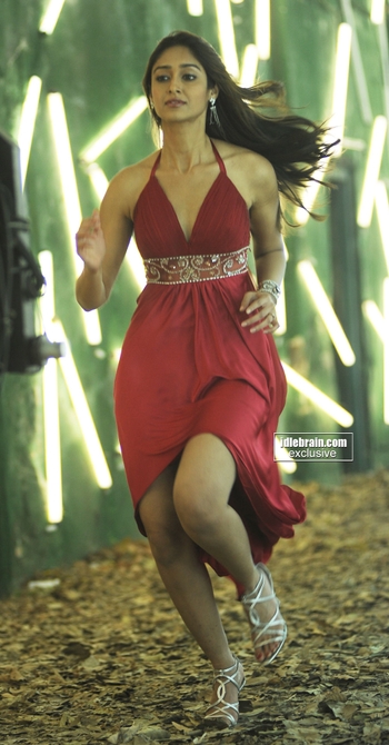 Ileana D'Cruz