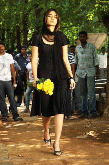 Ileana D'Cruz