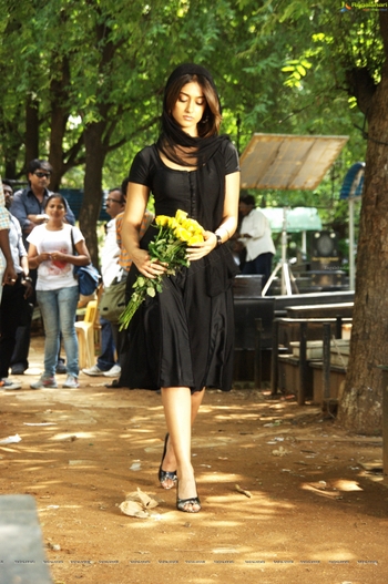 Ileana D'Cruz
