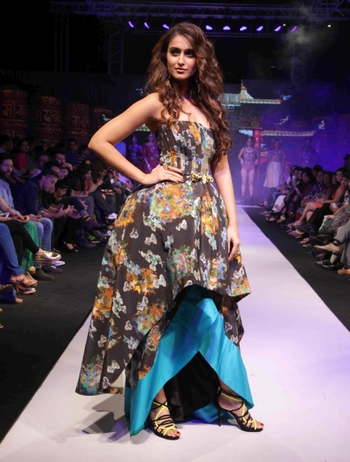 Ileana D'Cruz