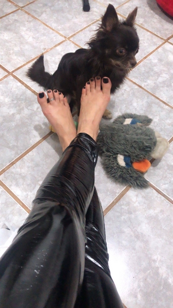 Alaine Crissiê