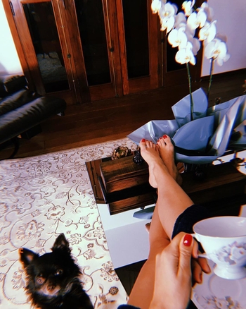 Alaine Crissiê