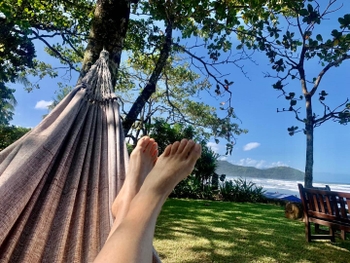 Virgínia Novik