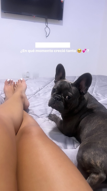Bianca Rosales