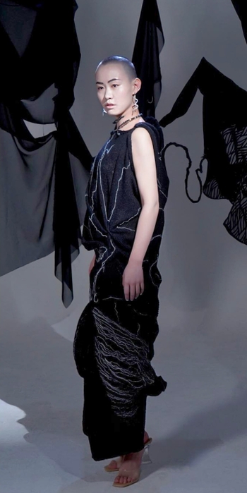 Aileen Wu
