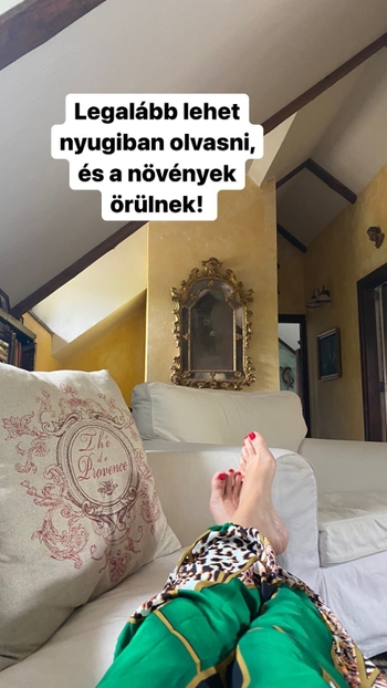 Polgár Tünde