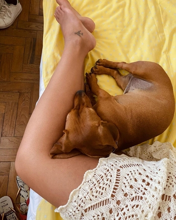 Mónica Vale de Gato