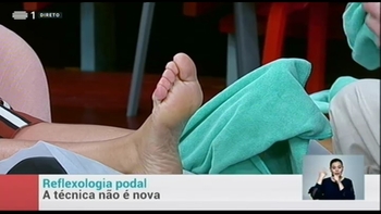 Sónia Araújo