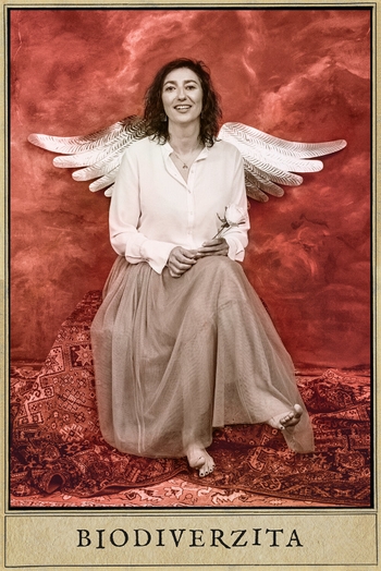 Simona Babcáková