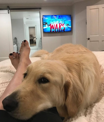 Shannon Storms Beador