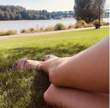 Dorota Nvotová