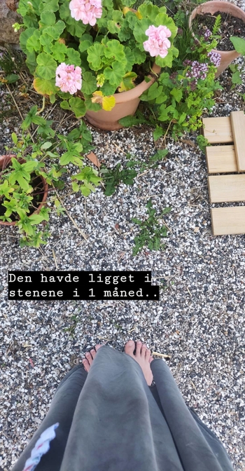 Neel Rønholt