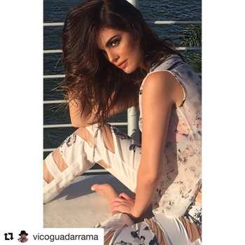 Ximena Navarrete