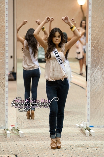 Ximena Navarrete