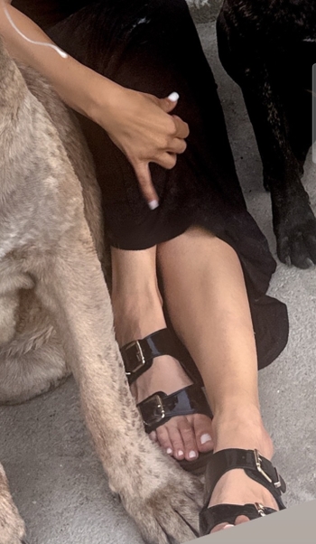 Edina Kulcsár