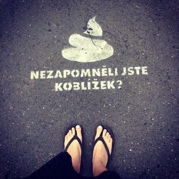 Silvie Koblízková