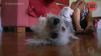 Thalita Rebouças