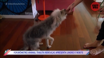 Thalita Rebouças