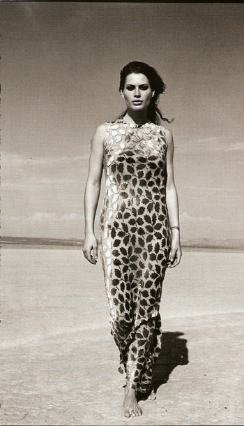 Carré Otis