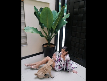  alt="Jasmine Curtis-smith"