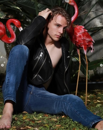 Josh Welles