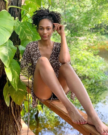 Ari Chambers