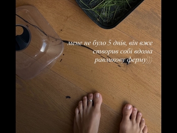  alt="Viktoria Maremukha"