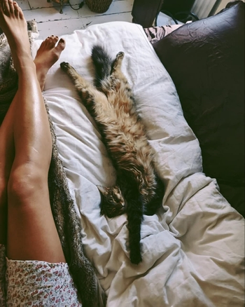 Lily Catalifo
