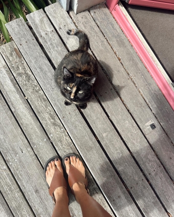 Lily Catalifo