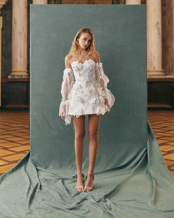 Dasha Maistrenko