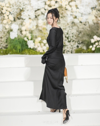Le Ha Anh