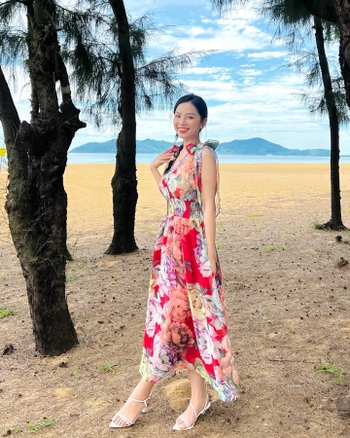 Le Ha Anh