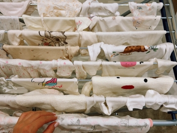 Alina Hrushyna-Akobiia