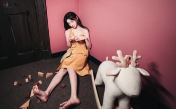 Lianxin Hu