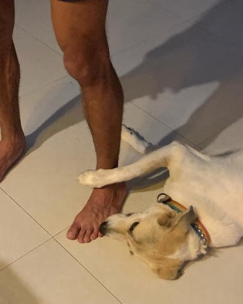 Mohamed Faisal Mostafa