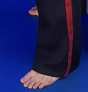 Brandon H. Lee