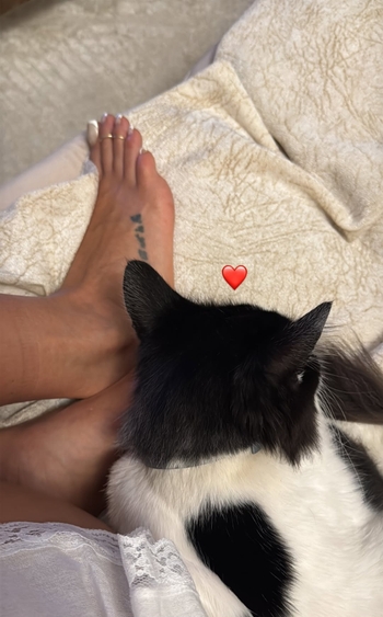Kaptanoglu Nurcin