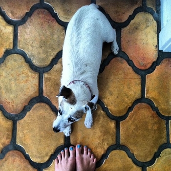Lish Bliss