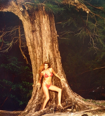Cindy Crawford
